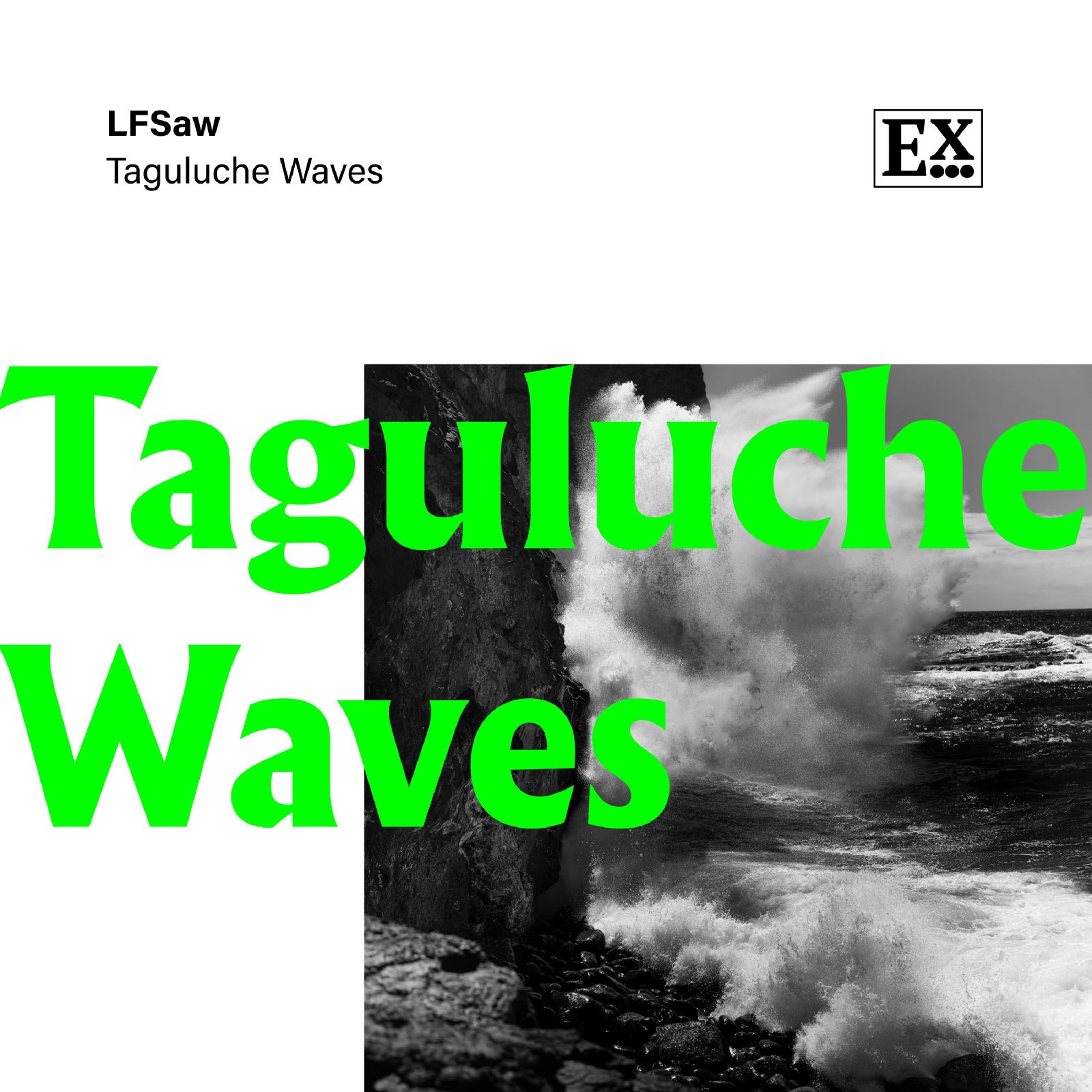 Cover image for Taguluche Waves
